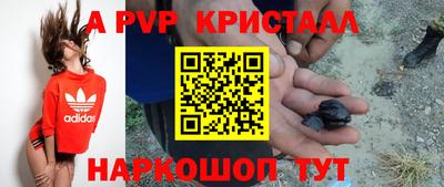 СК Моздок