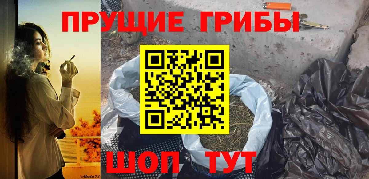 Псилоцибиновые грибы Psilocybine cubensis Сегежа