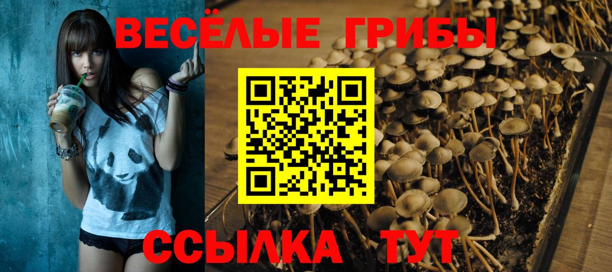 Галлюциногенные грибы MAGIC MUSHROOMS  Галлюциногенные грибы GOLDEN TEACHER  Сегежа  Вход с VPN 